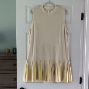 Pleated shirt dress • COS